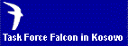 Task Force Falcon - US Army in Kosovo